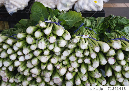 野沢菜　束 71861418