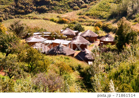 アフリカレソト王国をレンタカーで走った風景。壮大な山々と咲き誇るコスモス、特徴的な農村部の家屋など 71861514