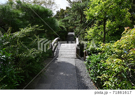 龍安寺 鏡容池と弁天島 国の名勝 龍安寺 鏡容池と弁天島 国の名勝 71861617