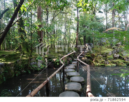 飛び石の橋のある池とその先に見える緑の樹々のある森 飛び石の橋のある池とその先に見える緑の樹々のある森 71862594