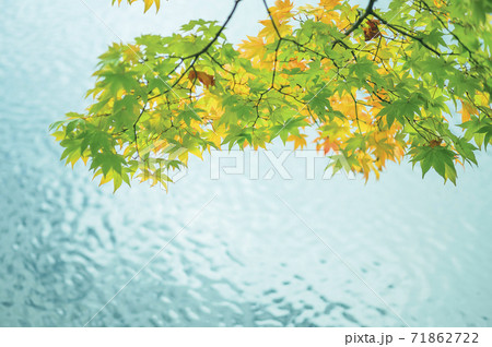 水辺の紅葉(カラーグレーディング) 水辺の紅葉(カラーグレーディング) 71862722