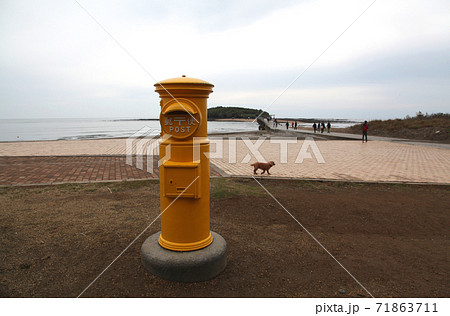 宮崎県青島の幸せの黄色いポストの写真素材