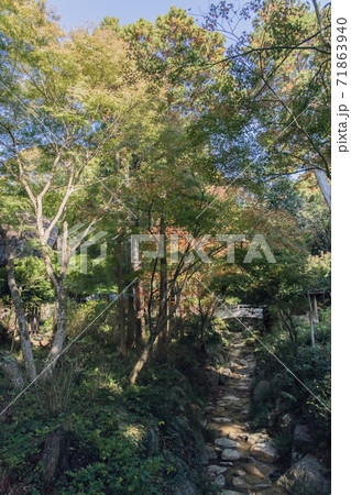 山口県の秋2020 71863940