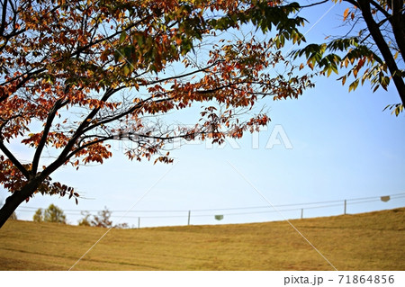 花 公園 万 71864856