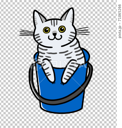 バケツに入った猫のイラストのイラスト素材