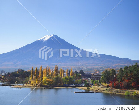 山梨県 秋の大池公園 紅葉と富士 11月 山梨県 秋の大池公園 紅葉と富士 11月 71867624
