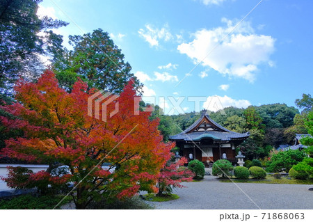 古都奈良の隠れ寺  秋篠寺 71868063