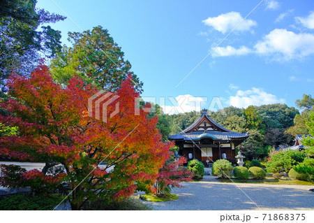 古都奈良の隠れ寺  秋篠寺 71868375