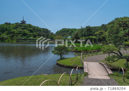 日本庭園の池と小さな石橋 (三渓園、横浜、神奈川県) 71869204