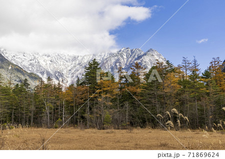 秋の上高地, 田代湿原 (長野県松本市) 71869624