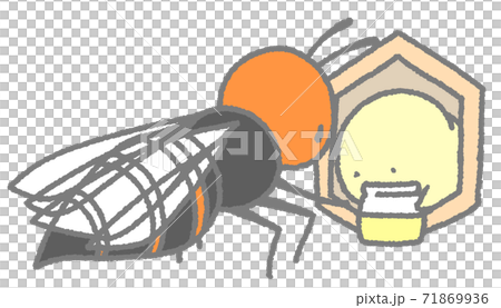 Adults and larvae of wasps exchanging nutrients (gray) Adults and larvae of wasps exchanging nutrients (gray) 71869936
