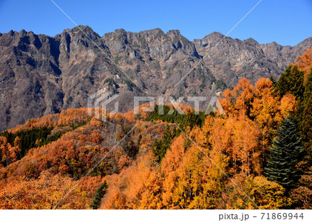 澄み切った青空に映える紅葉の戸隠連峰 71869944