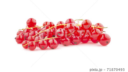Red currant berries an isolated on white background 71870493