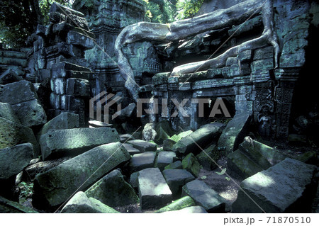 CAMBODIA SIEM REAP ANGKOR TA PROHM TEMPLE 71870510