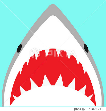 ぽっちゃりホホジロザメのアタック Chubby White Shark Attacksのイラスト素材