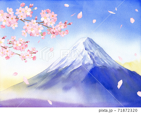 春の花 さくらと富士山の景色 水彩イラストのイラスト素材