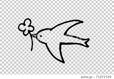 Swallow Swallow 71872549