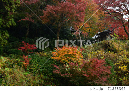 清閑寺の紅葉 清閑寺の紅葉 71873365