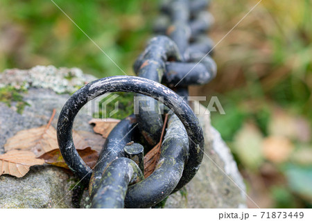 A closeup picture of a metal ring and a chain. Blurry background with green grass and autumn leaves 71873449