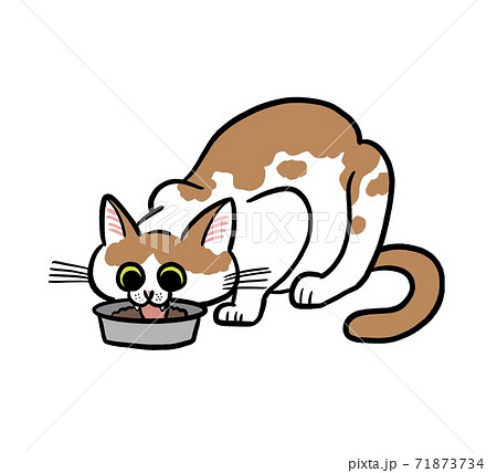 エサを食べる猫のイラストのイラスト素材