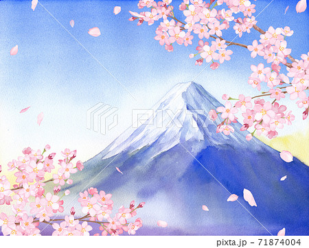 春の花：さくらと富士山の景色 水彩イラストのイラスト素材 [71874004] - PIXTA