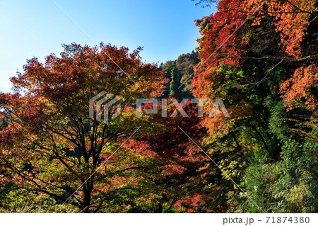 埼玉県白雲山 鳥居観音の紅葉の写真素材