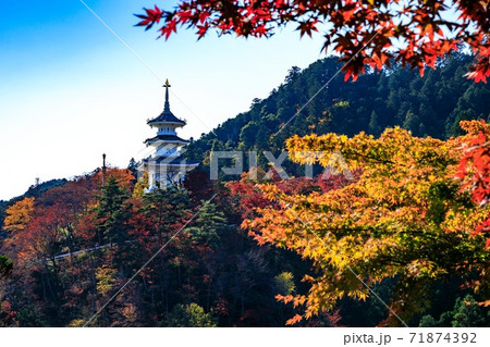 埼玉県白雲山 鳥居観音の紅葉 埼玉県白雲山 鳥居観音の紅葉 71874392