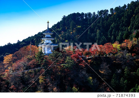 埼玉県白雲山　鳥居観音の紅葉 71874393