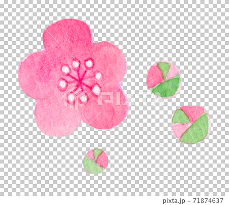 新年的幸運符,水彩插圖,新年賀卡材料 新年的幸運符,水彩插圖,新年賀卡材料 71874637