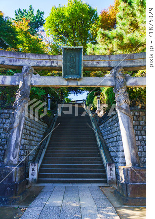 品川神社 【東京の下町風景】(公道から撮影しています) 品川神社 【東京の下町風景】(公道から撮影しています) 71875029