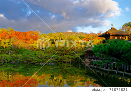 平安神宮神苑 秋 平安神宮神苑 秋 71875821