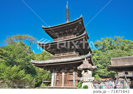 【石手寺】 (四国霊場第51番札所) 愛媛県松山市石手 71875842