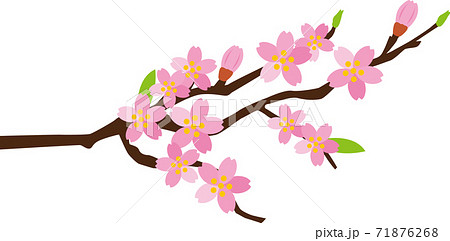 桜の枝 イラストのイラスト素材
