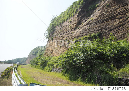 伊豆大島地層 71876798