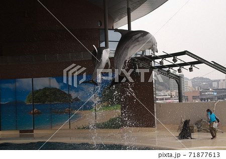 下関市 市立しものせき水族館 海響館 下関市 市立しものせき水族館 海響館 71877613