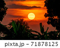 beautiful sunset in the garden 71878125