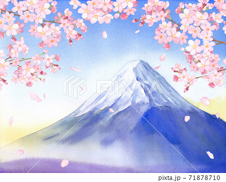 春の花 さくらと富士山の景色 水彩イラストのイラスト素材