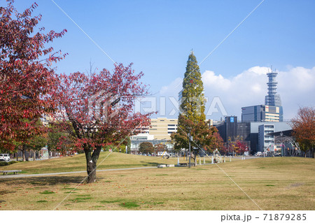 紅葉する大分いこいの道 71879285