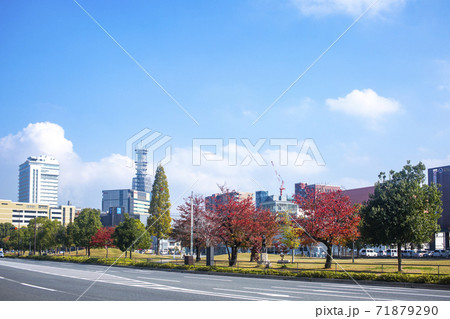 紅葉する大分いこいの道 紅葉する大分いこいの道 71879290