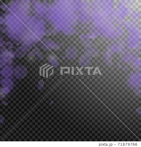Violet flower petals falling down. Trending romant 71879766