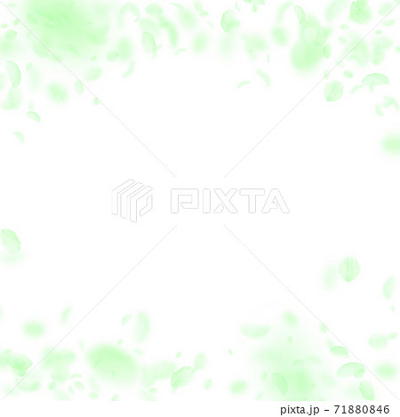 Green flower petals falling down. Overwhelming rom Green flower petals falling down. Overwhelming rom 71880846