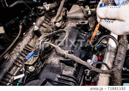 Close-up of checking the oil level in the car during service. Close-up of checking the oil level in the car during service. 71881192