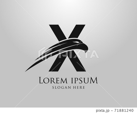 Initial Z Letter Eagle Logo Icon with Creative Eagle Head Vector Illustration Design. 71881240