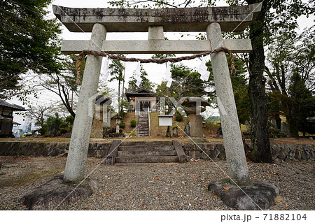 弁天厳島神社の鳥居 71882104