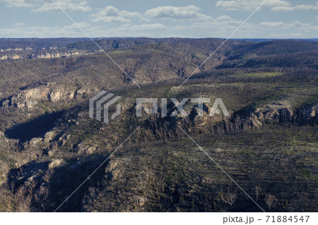 Aerial view of low clouds in a valley of forest regeneration after bushfires in regional Australia Aerial view of low clouds in a valley of forest regeneration after bushfires in regional Australia 71884547