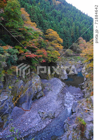 11月 奥多摩町99鳩ノ巣小橋と渓谷の紅葉・水神様展望 11月 奥多摩町99鳩ノ巣小橋と渓谷の紅葉・水神様展望 71884642