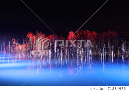 北海道美瑛町_青い池_冬のライトアップとオリオン座【11月】 71884976