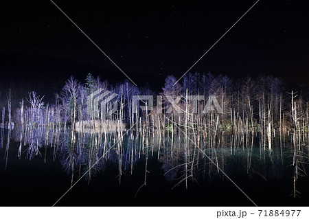 北海道美瑛町_青い池_冬のライトアップとオリオン座【11月】 71884977