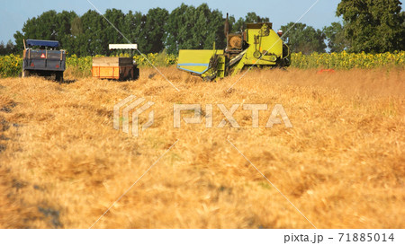 Agricultural machinery on the field. 71885014