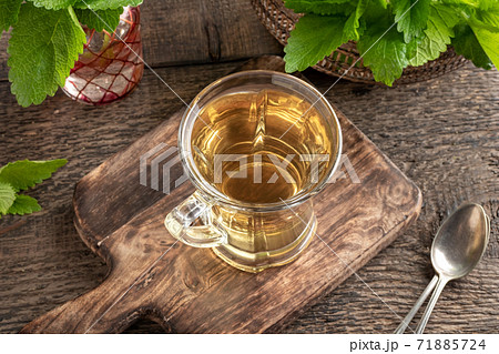 A cup of melissa tea with fresh melissa leaves A cup of melissa tea with fresh melissa leaves 71885724